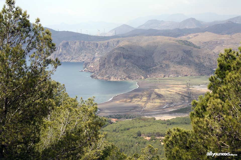 Monte de las Cenizas. Views of Portman Bay