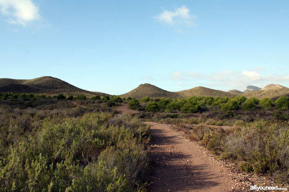 Calblanque Trails