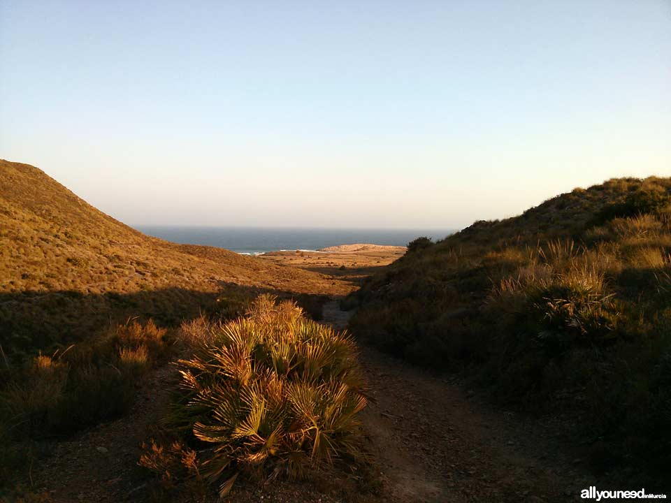 Calblanque Trails