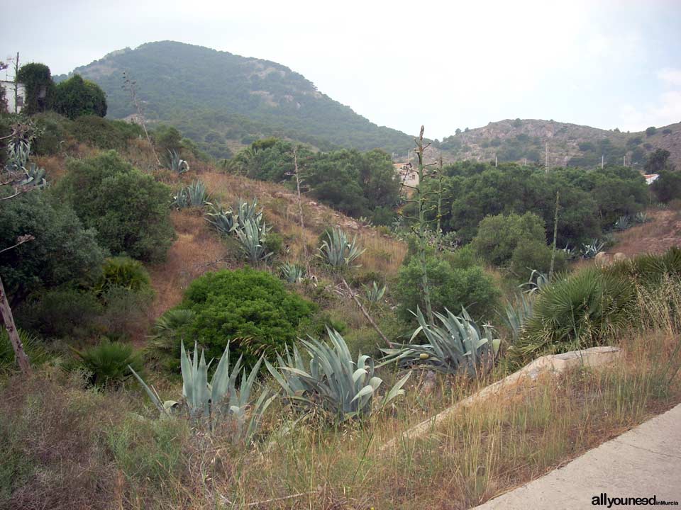 Senderos en el Parque Regional de Calblanque en Murcia -España