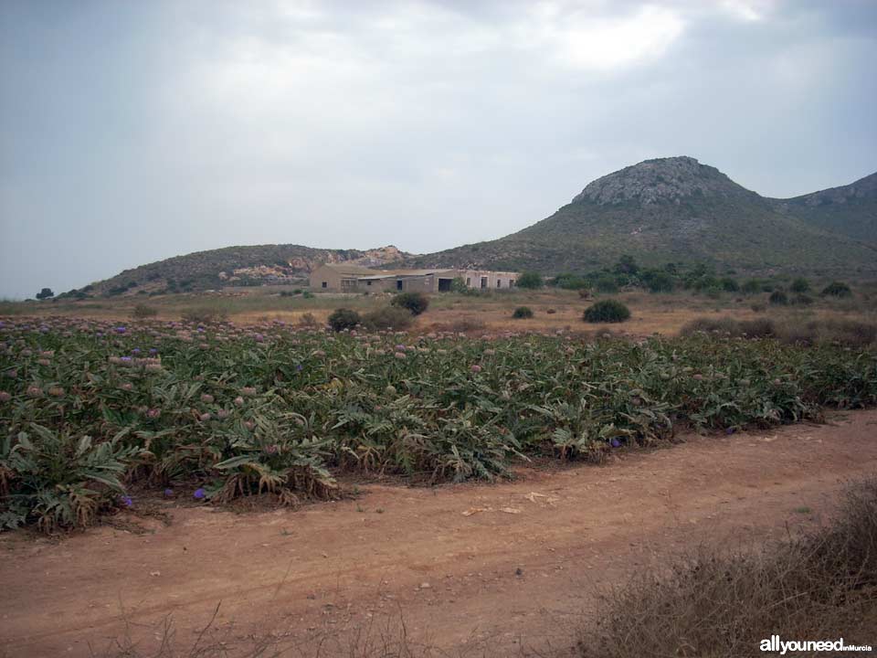 Senderos en el Parque Regional de Calblanque en Murcia -España