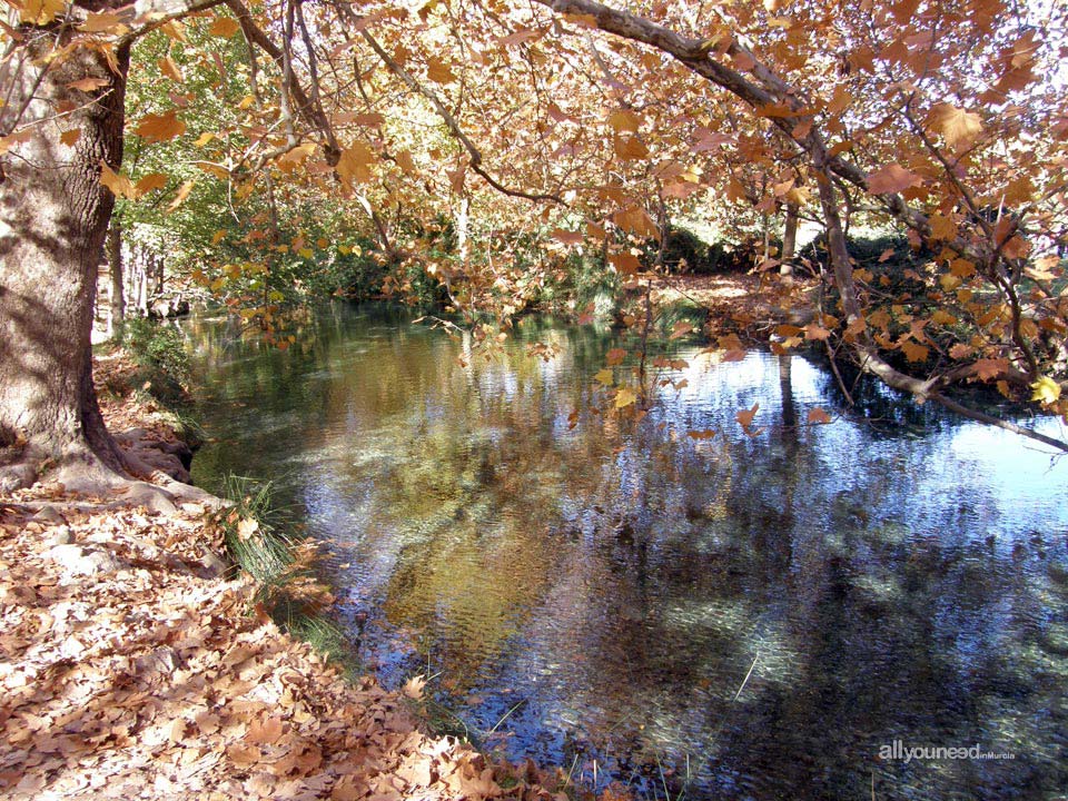 Fuentes del Marqués de Caravaca de la Cruz