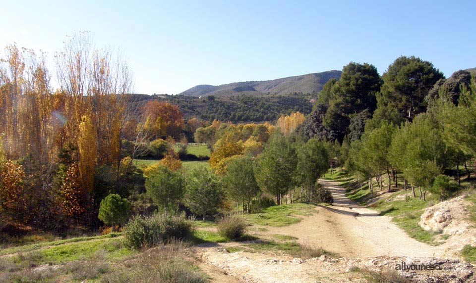 Paisaje. Caravaca de la Cruz