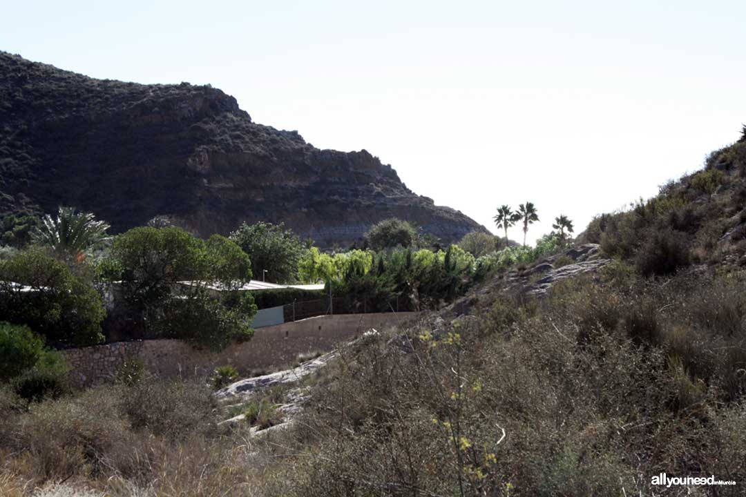 Camping Naturista El Portús