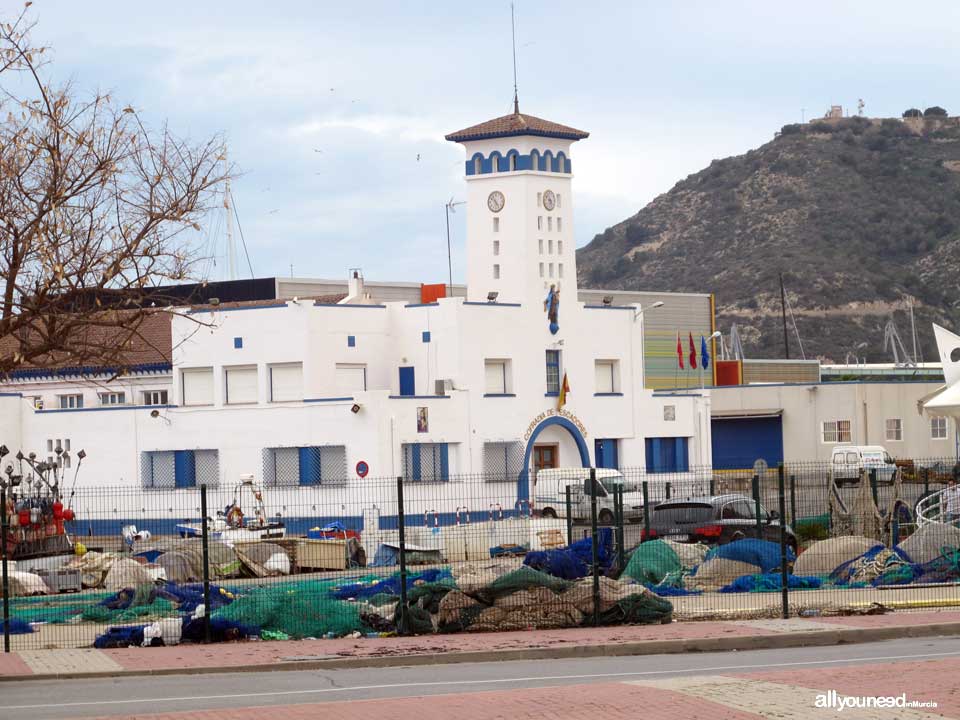 Cofradía de Pescadores Cartagena