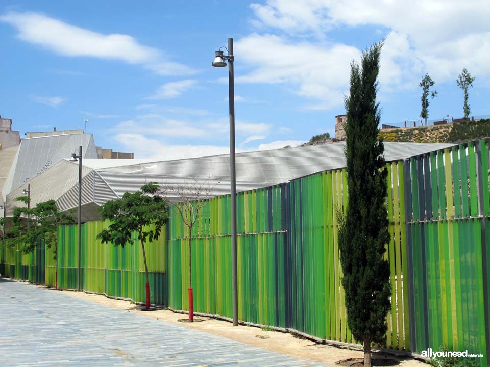 The District of the Roman Forum