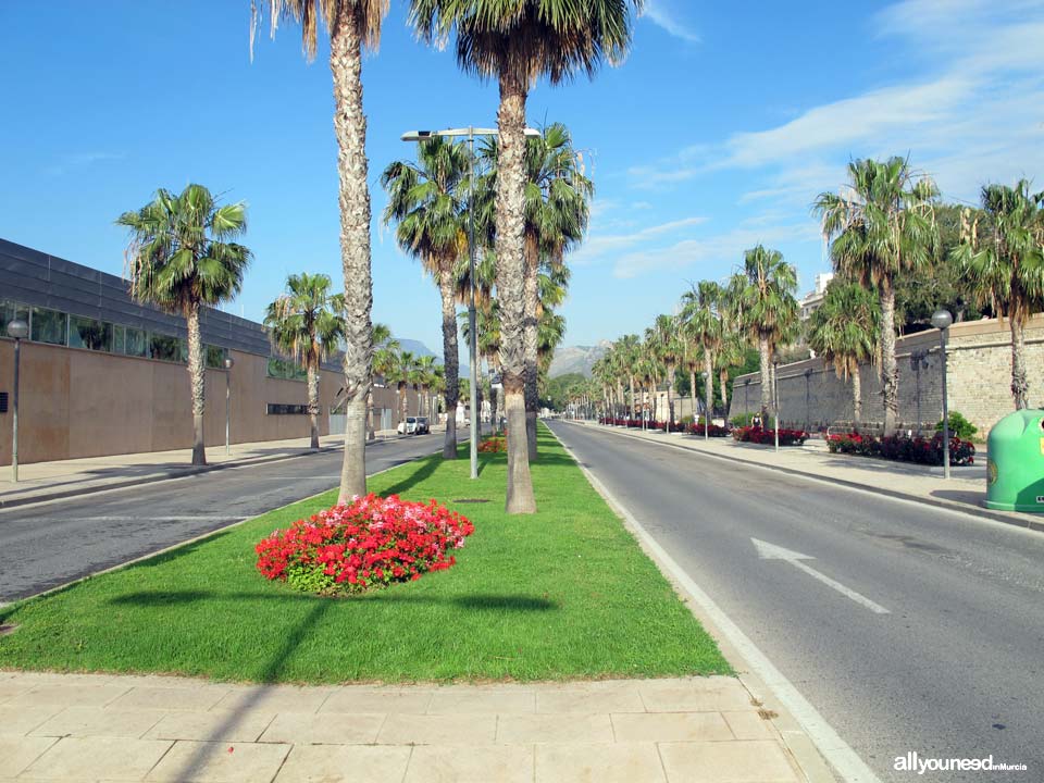 Calles de Cartagena. Paseo de Alfonso XII