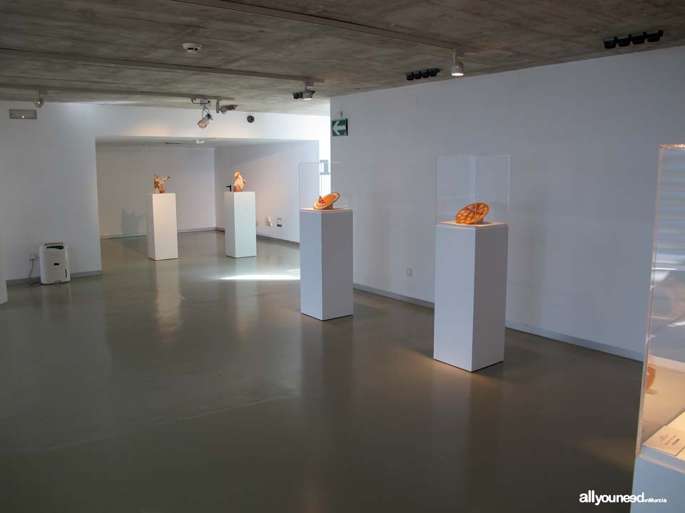 MURAM. Museo de Arte Moderno. Casa Aguirre
