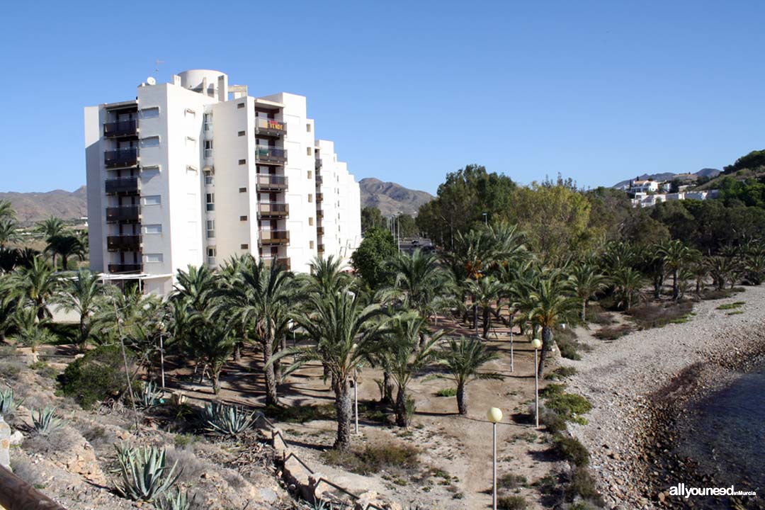 Playa Cabezo del Mojón