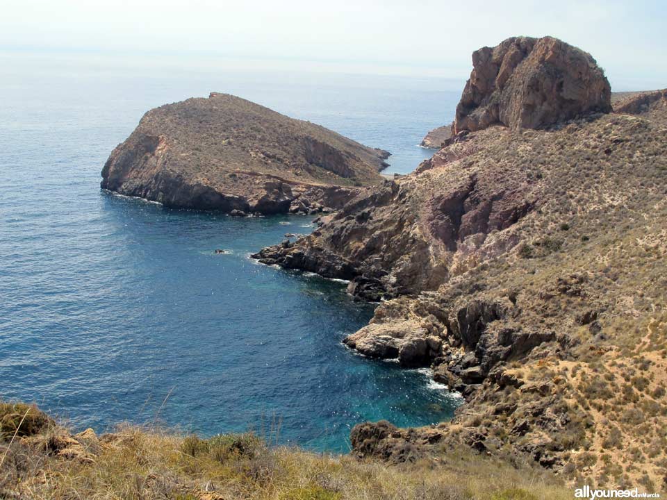 Abierta Cove