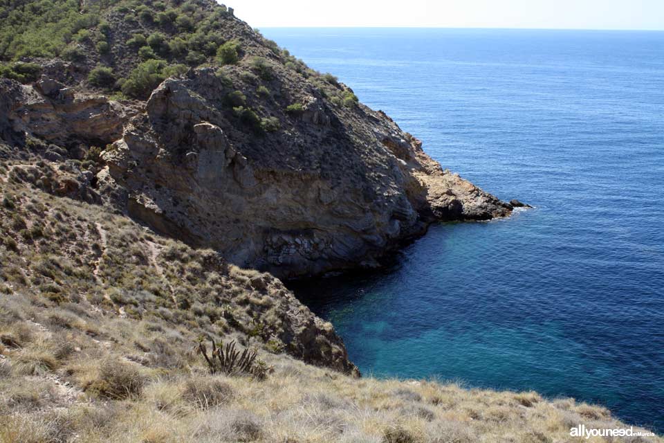 Cala Abierta