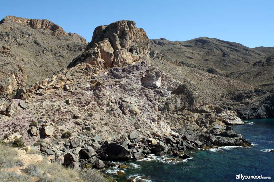 Abierta Cove