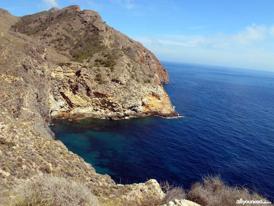 Abierta Cove