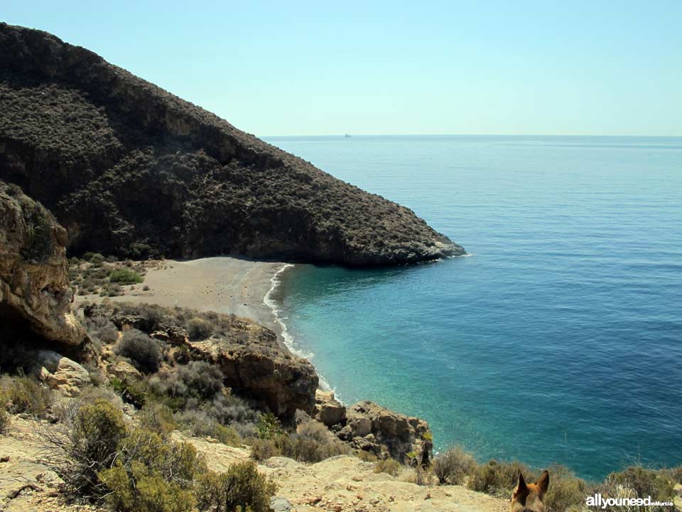 Cala Aguilar en Cabo Tiñoso, -Cartagena- España