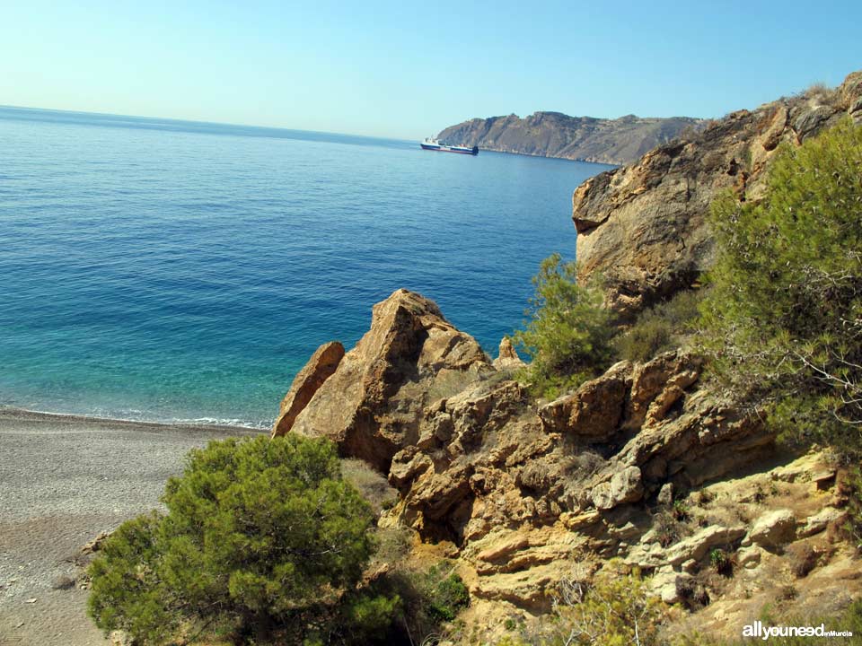 Cala Aguilar en Cabo Tiñoso, -Cartagena- España