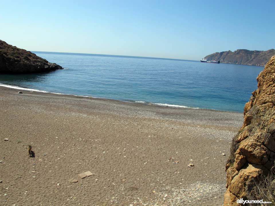 Aguilar Cove in Cabo Tiñoso. -Cartagena- Spain