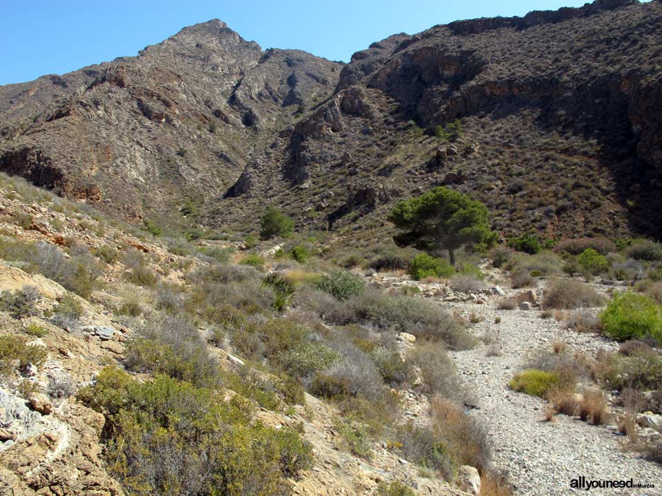 Aguilar Cove in Cabo Tiñoso. -Cartagena- Spain