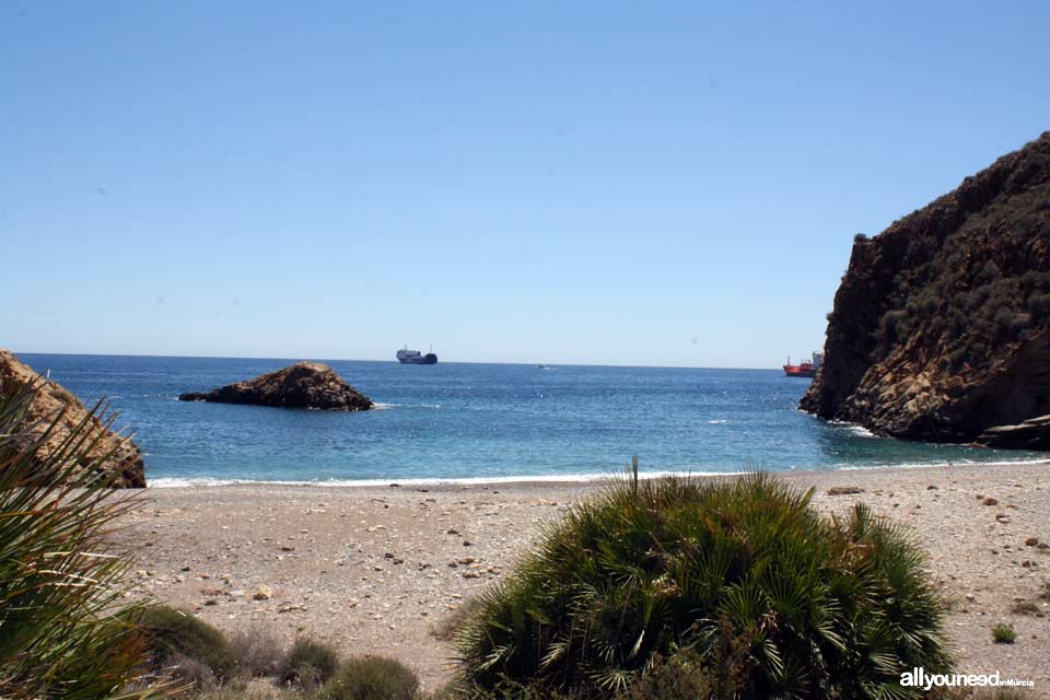 Cala Bolete Grande en Cabo Tiñoso