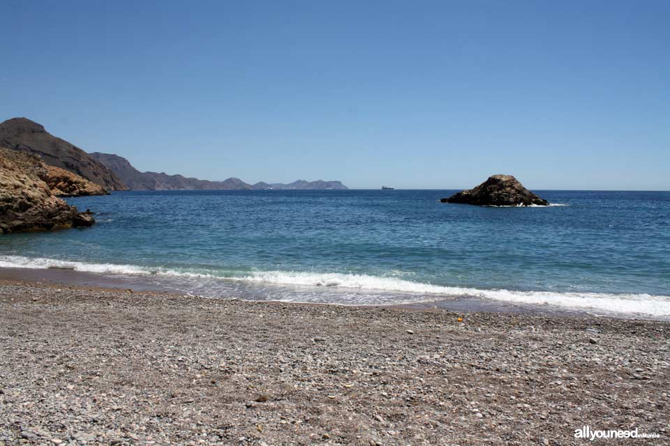 Bolete Grande Cove in Cabo Tiñoso -Cartagena- Spain