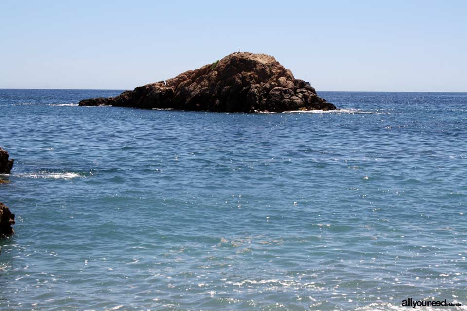 Bolete Grande Cove in Cabo Tiñoso -Cartagena- Spain