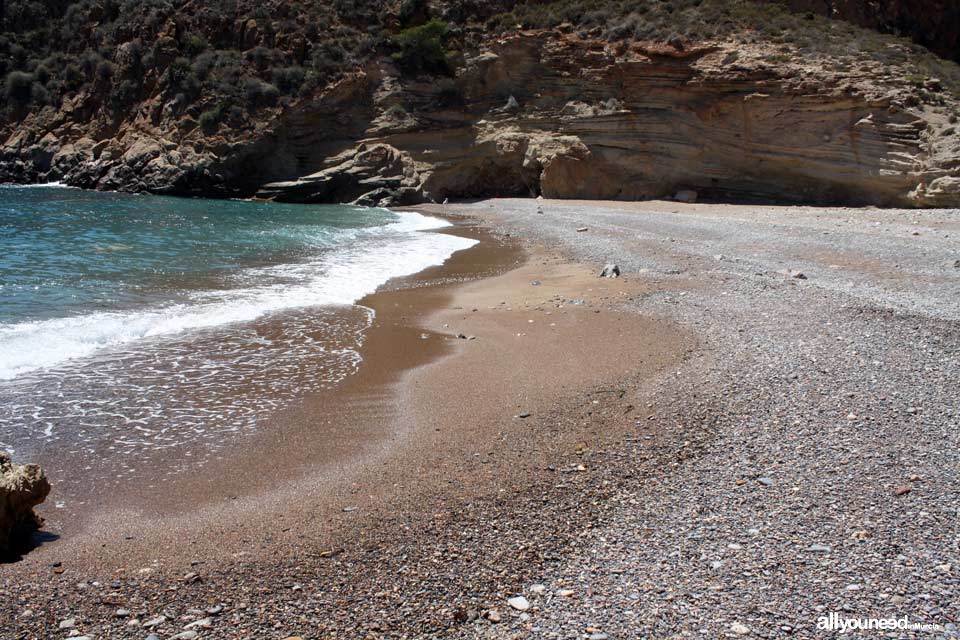 Bolete Grande Cove in Cabo Tiñoso -Cartagena- Spain