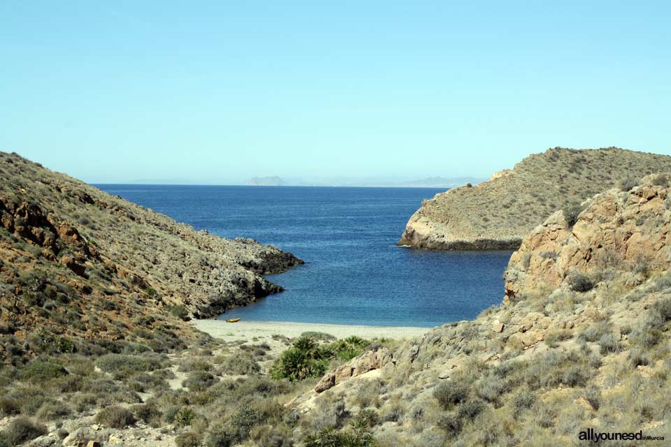 Cabo Tiñoso. Cala Cerrada