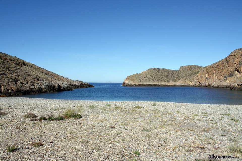 Cabo Tiñoso. Cala Cerrada