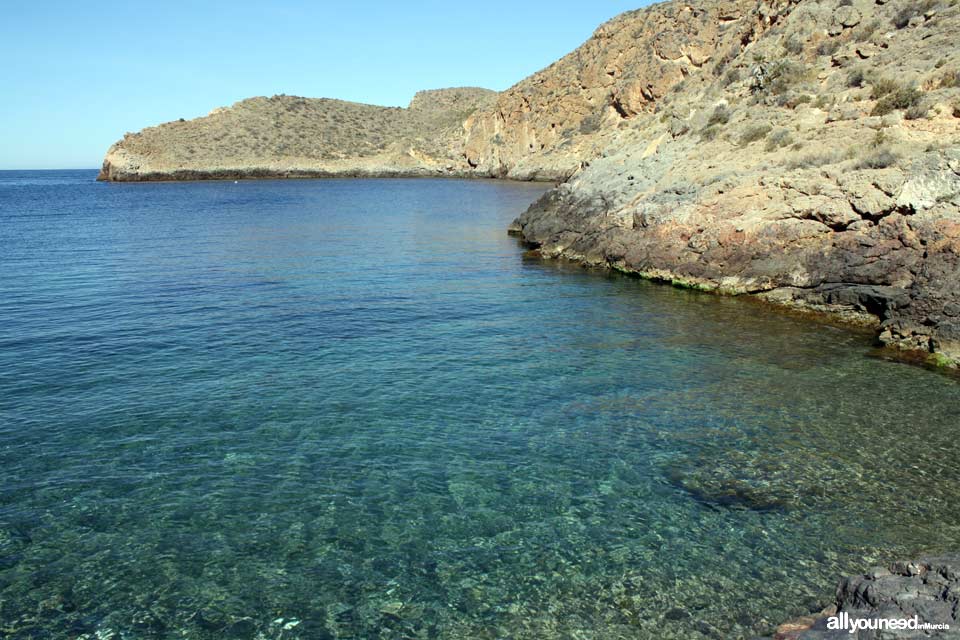 Cabo Tiñoso. Cala Cerrada