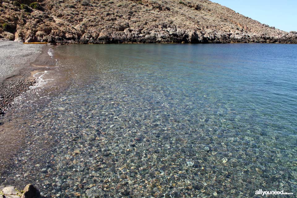 Cabo Tiñoso. Cala Cerrada