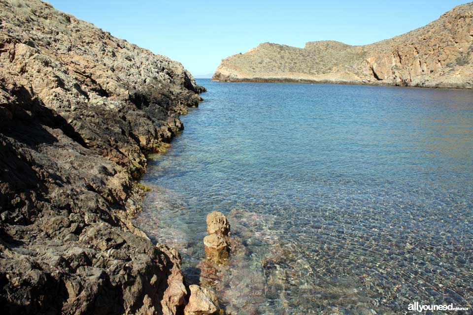 Cabo Tiñoso. Cala Cerrada