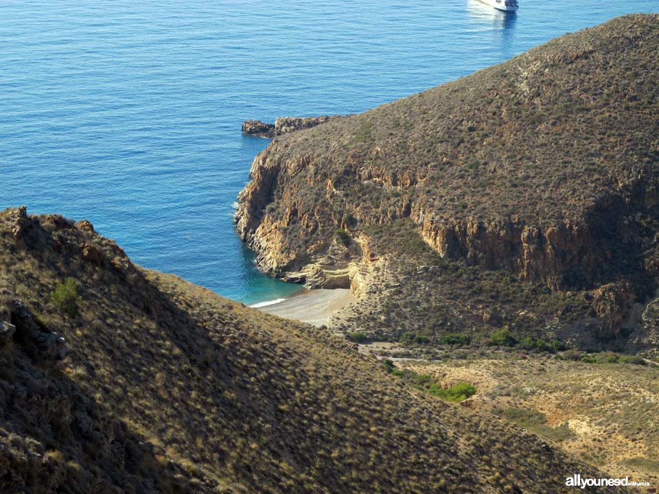 Cala El Bolete en Cabo Tiñoso , Cartagena