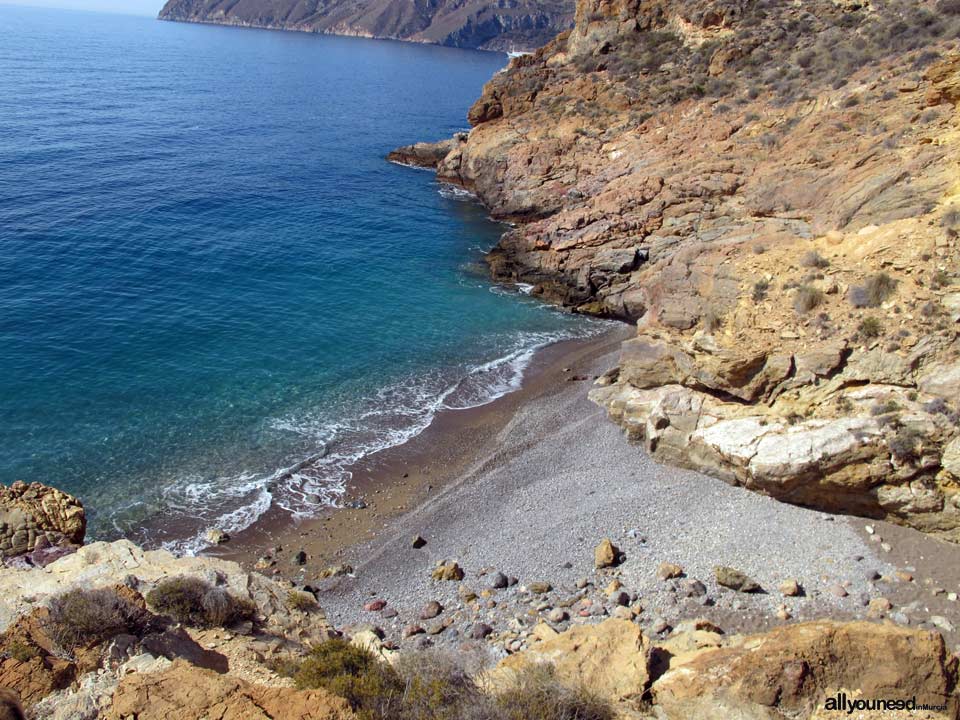 Cala El Bolete en Cabo Tiñoso , Cartagena