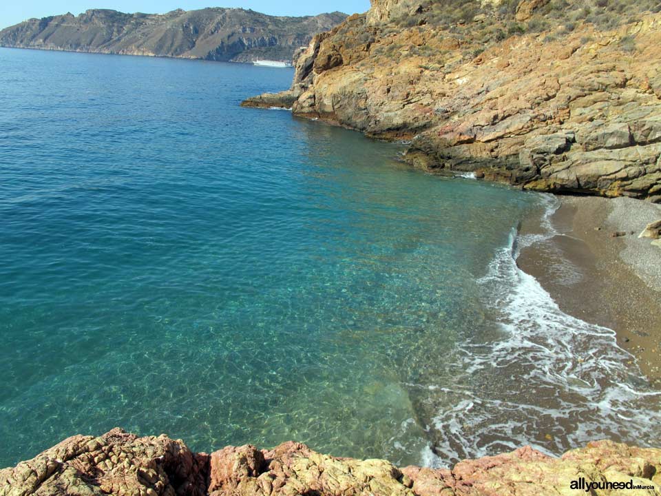 Cala El Bolete en Cabo Tiñoso , Cartagena