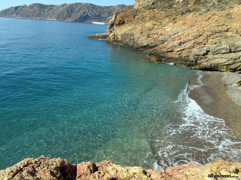 Cala El Bolete en Cabo Tiñoso , Cartagena