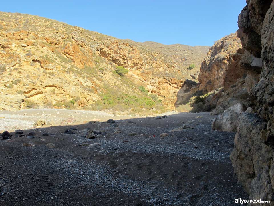 Bolete Cove in Cabo Tiñoso -Cartagena- Spain