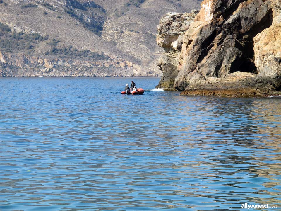 Bolete Cove in Cabo Tiñoso -Cartagena- Spain