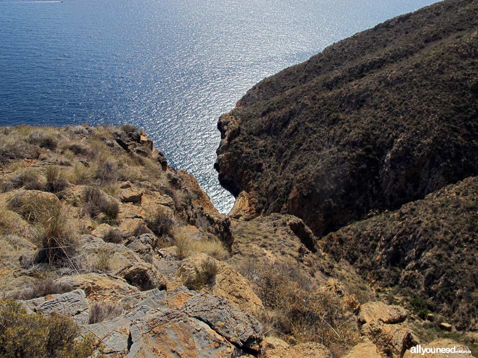 Cala Mojarra