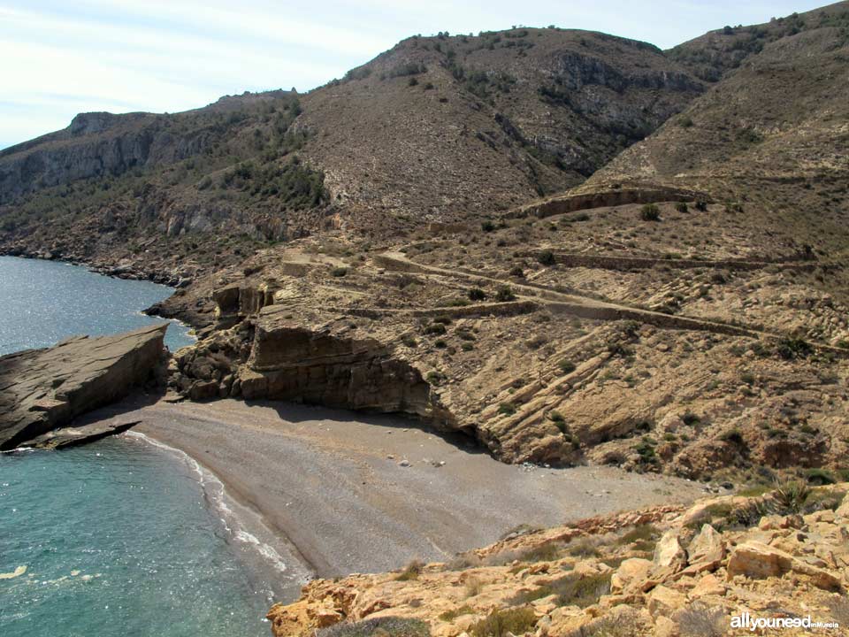 Cala Salitrona en Cabo Tiñoso