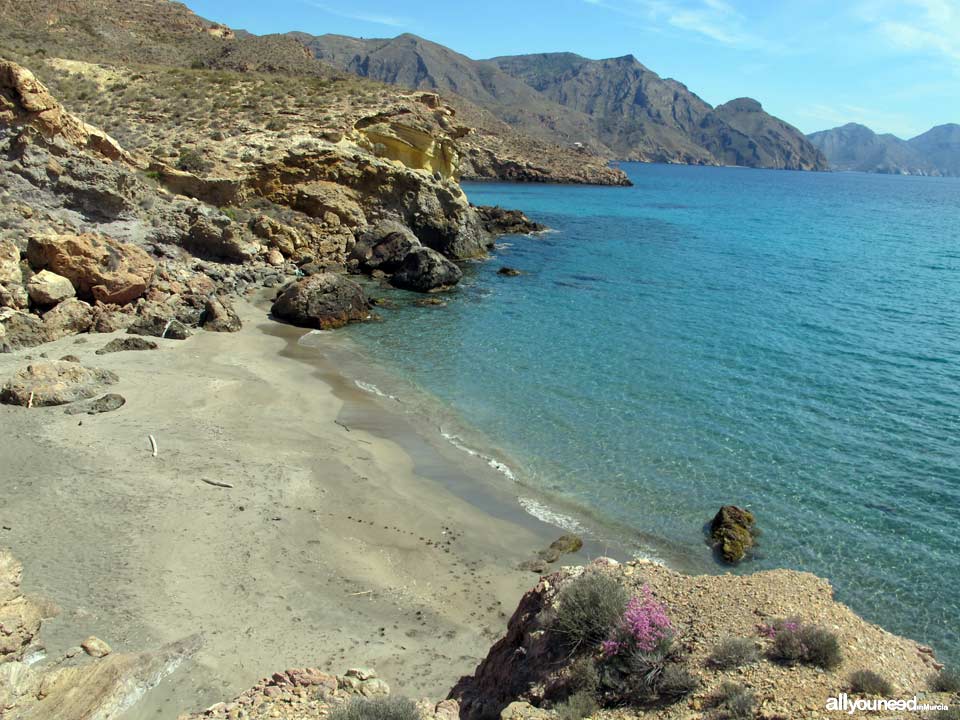 Cala entre Salitrona y Pozo de la Avispa