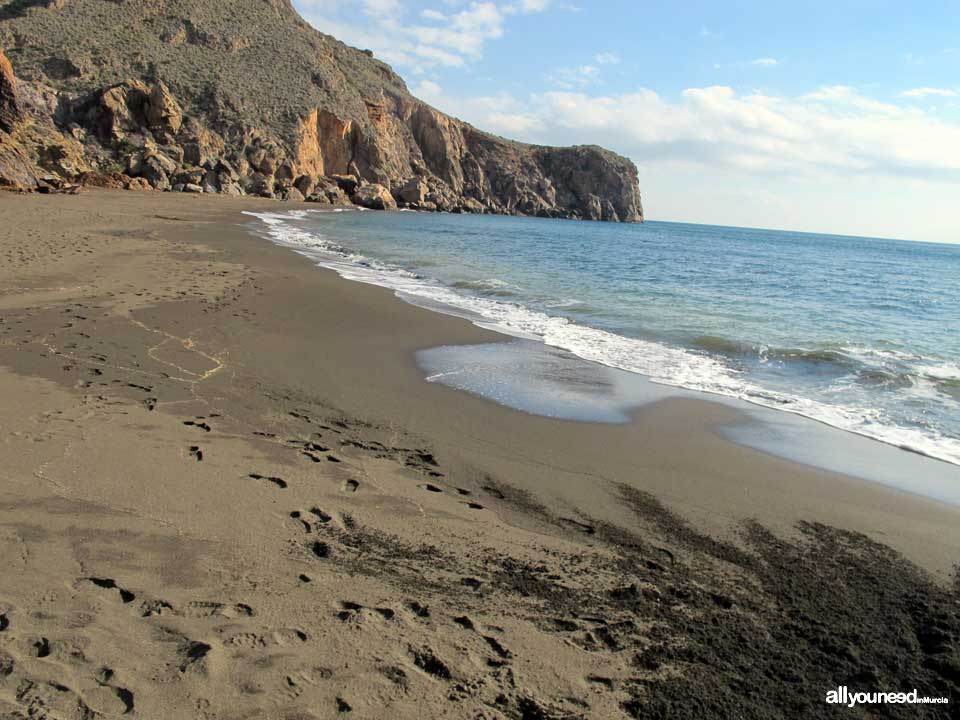 Cala del Caballo