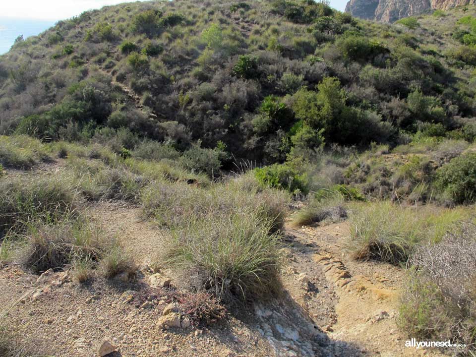 Cala del Caballo