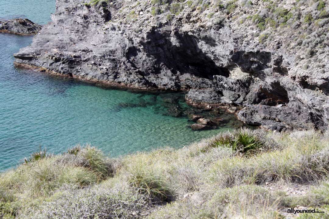 Muerto Cove. Calblanque