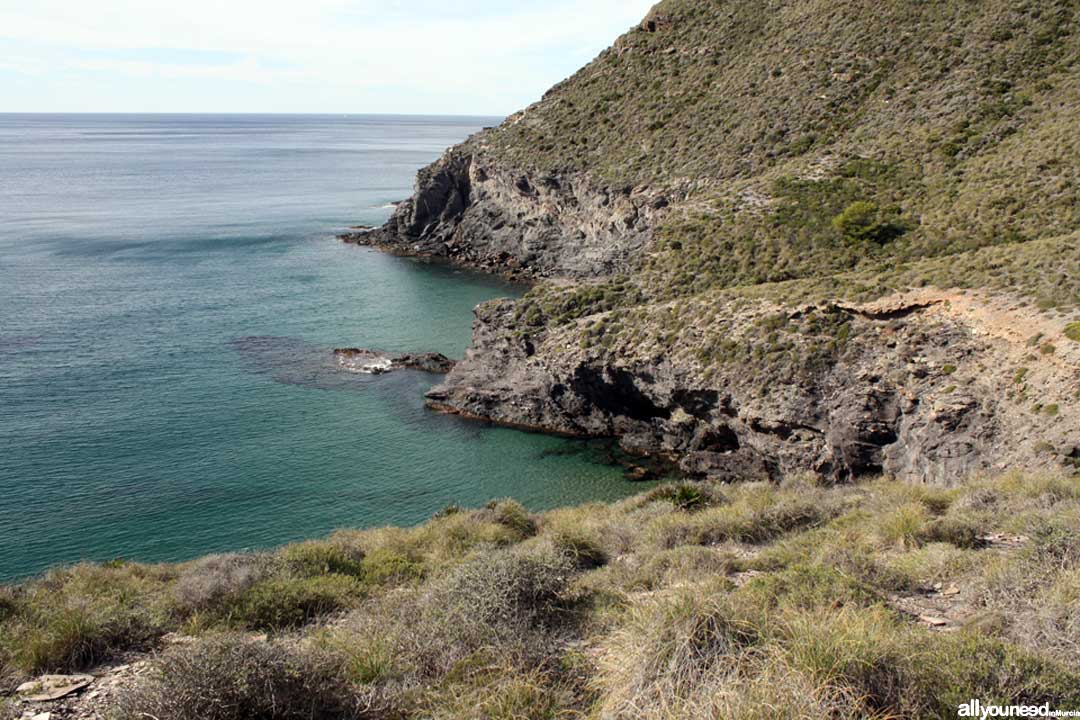 Cala del Muerto. Calblanque