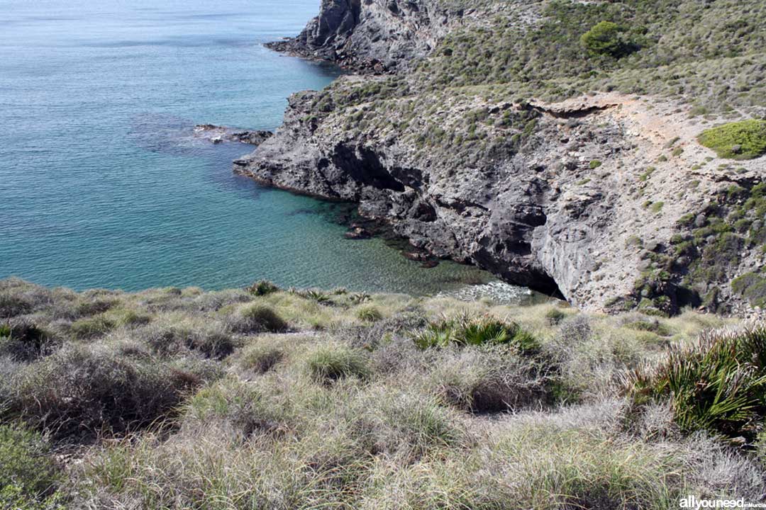 Cala del Muerto. Calblanque