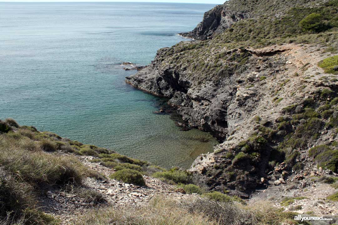 Cala del Muerto. Calblanque