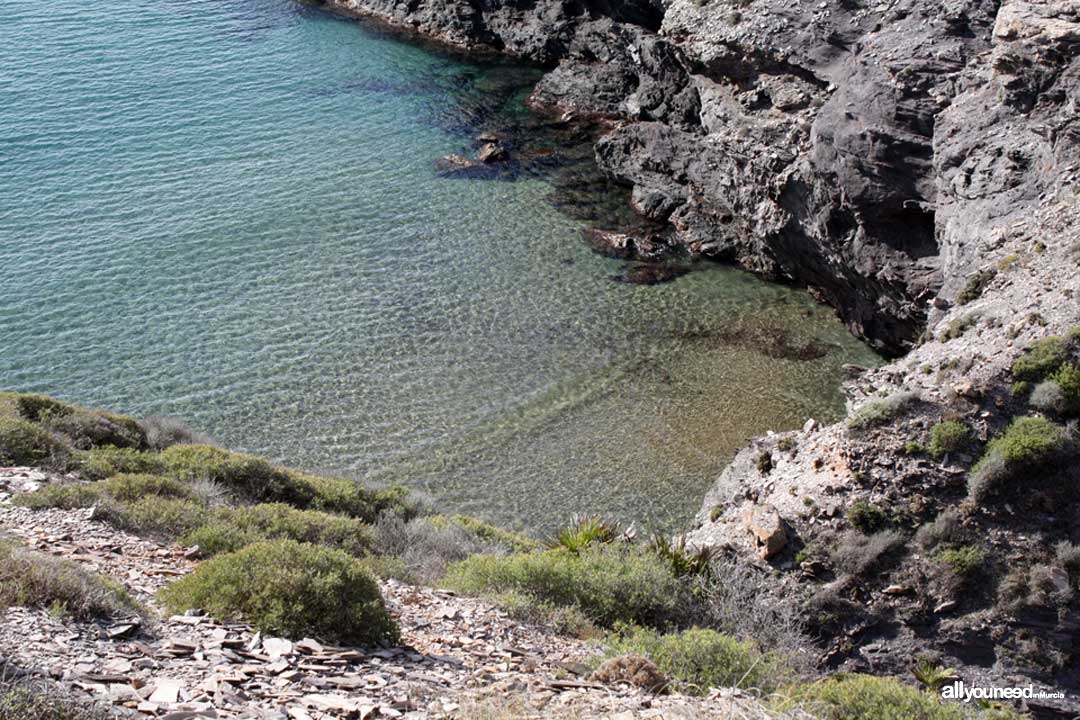 Cala del Muerto. Calblanque