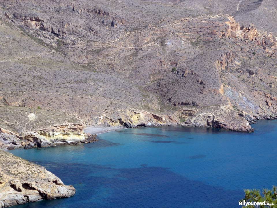 Cala Pozo de la Avispa en Cabo Tiñoso