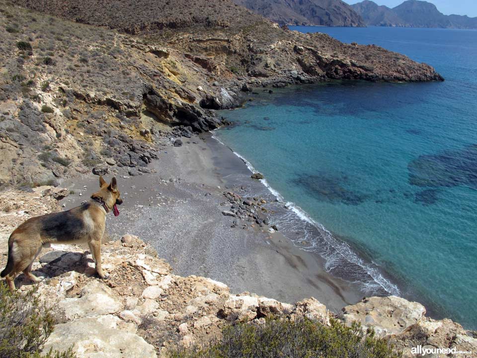 Cala Pozo de la Avispa en Cabo Tiñoso