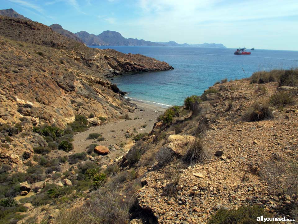 Cala Pozo de la Avispa en Cabo Tiñoso