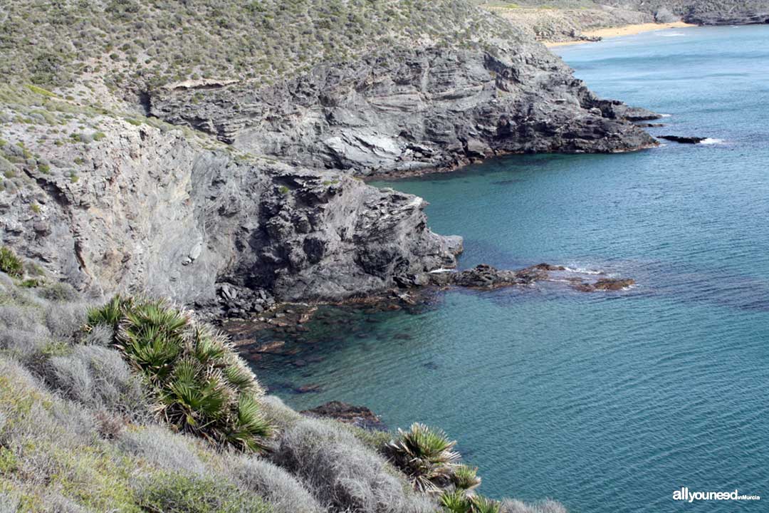Cala del Reventón